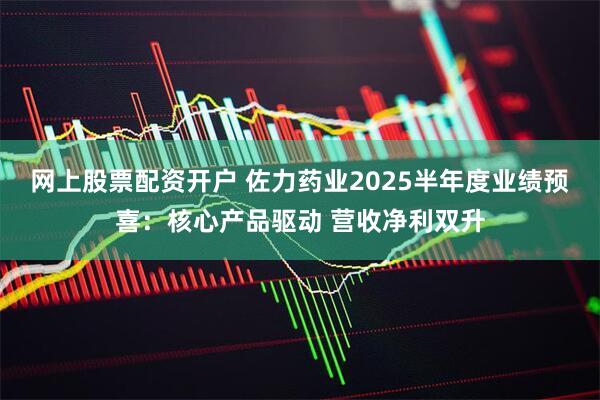 网上股票配资开户 佐力药业2025半年度业绩预喜：核心产品驱动 营收净利双升