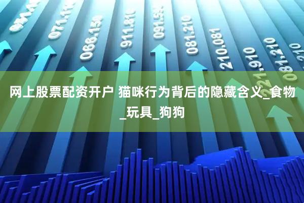 网上股票配资开户 猫咪行为背后的隐藏含义_食物_玩具_狗狗